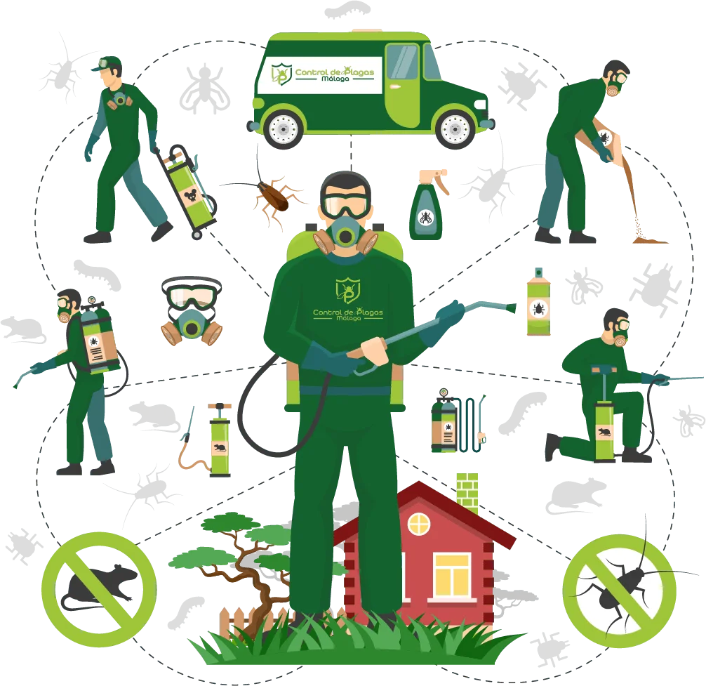  - Control de Plagas Málaga