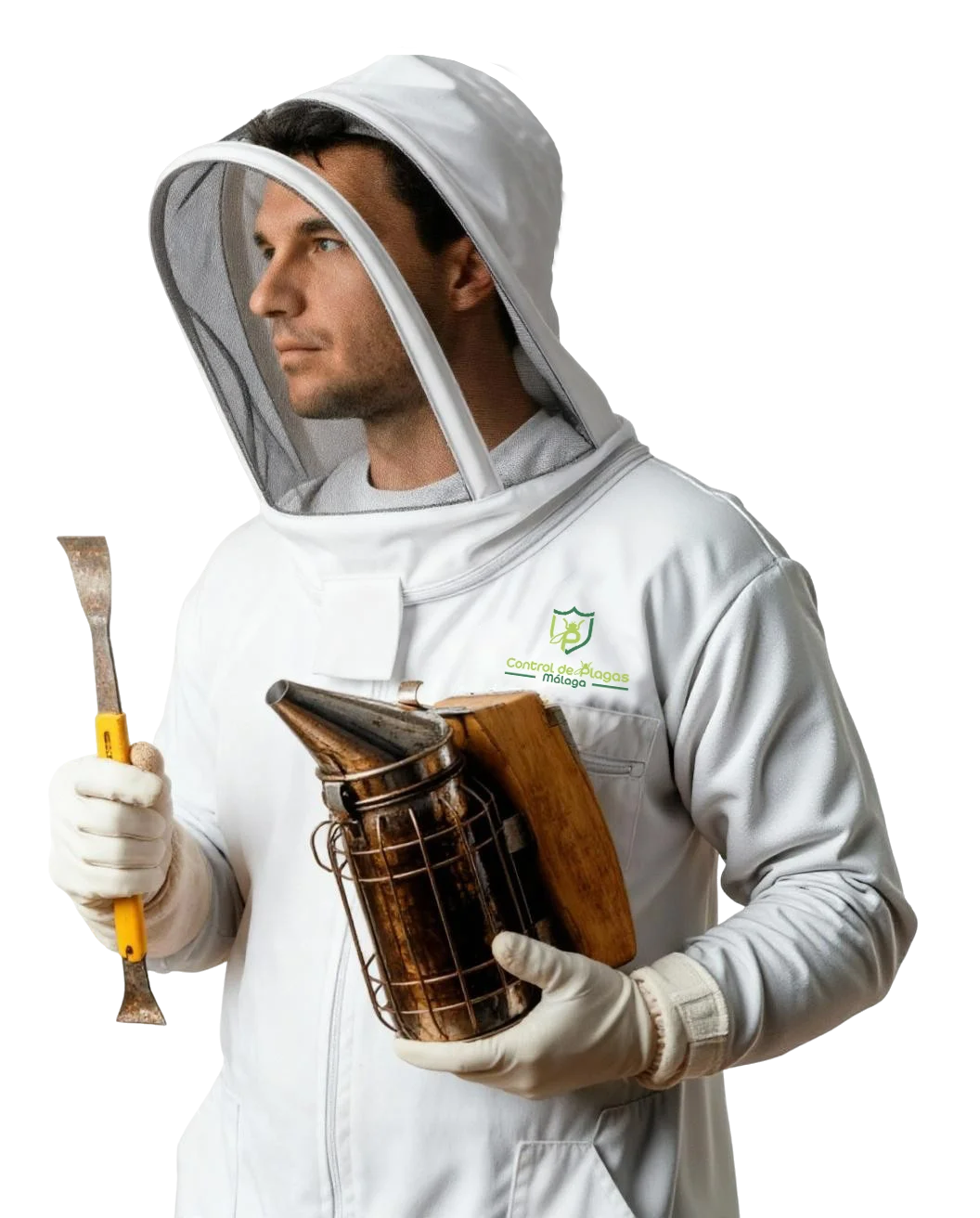 Control de Avispas en Málaga | Retirada de Nidos - Control de Plagas Málaga