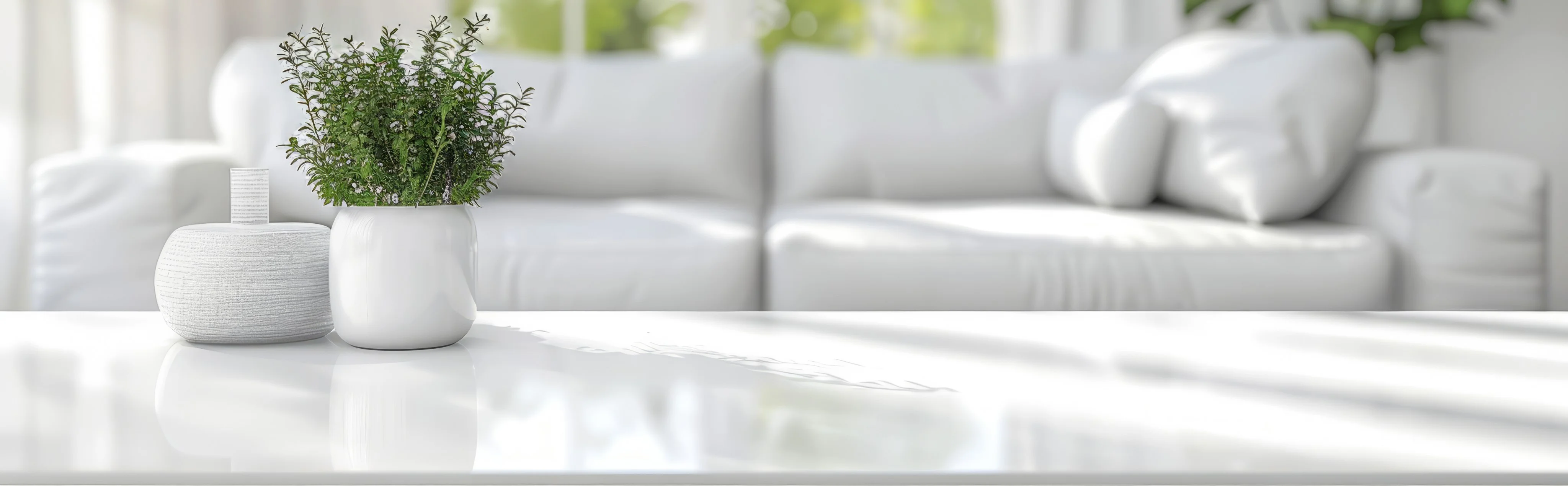 Control de Plagas Málaga | Rápido y Calidad - Control de Plagas Málaga